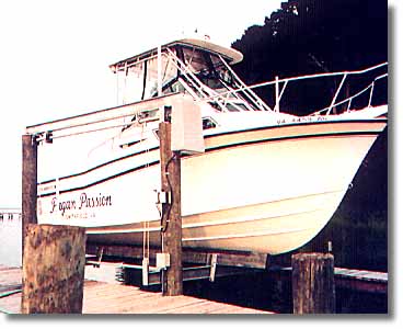 Overhead Beam Lift